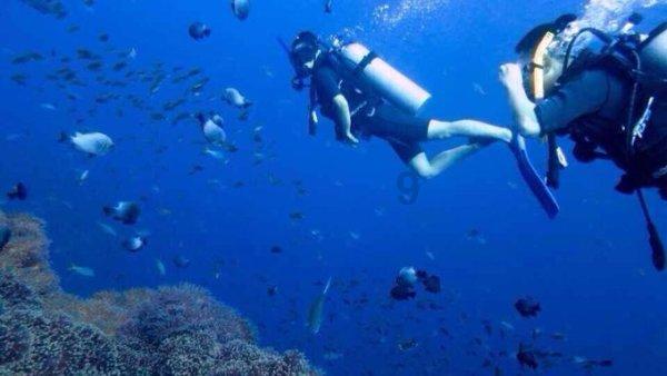 年味渐浓！曹县将隆重举行2024春节山东乡村文化旅游节系列活动